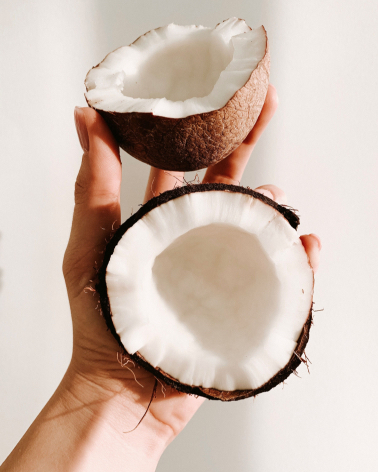 Coconut in hand